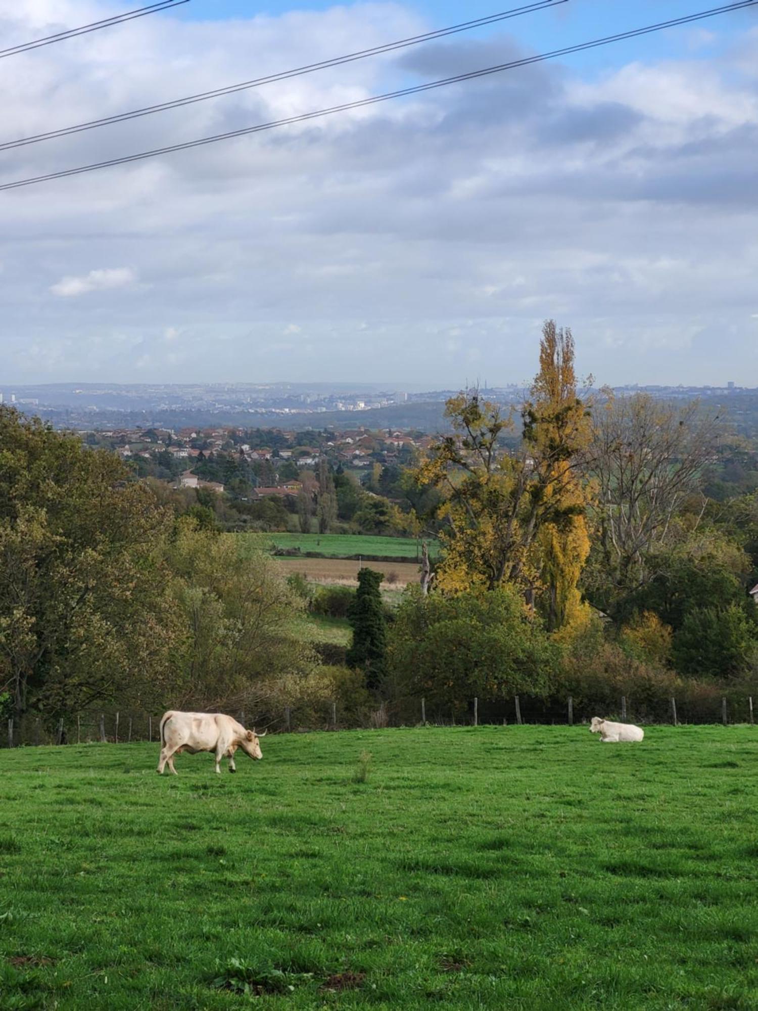 Appart'Hotel Le Clos Lassagne A Brignais - Lyon Sud エクステリア 写真